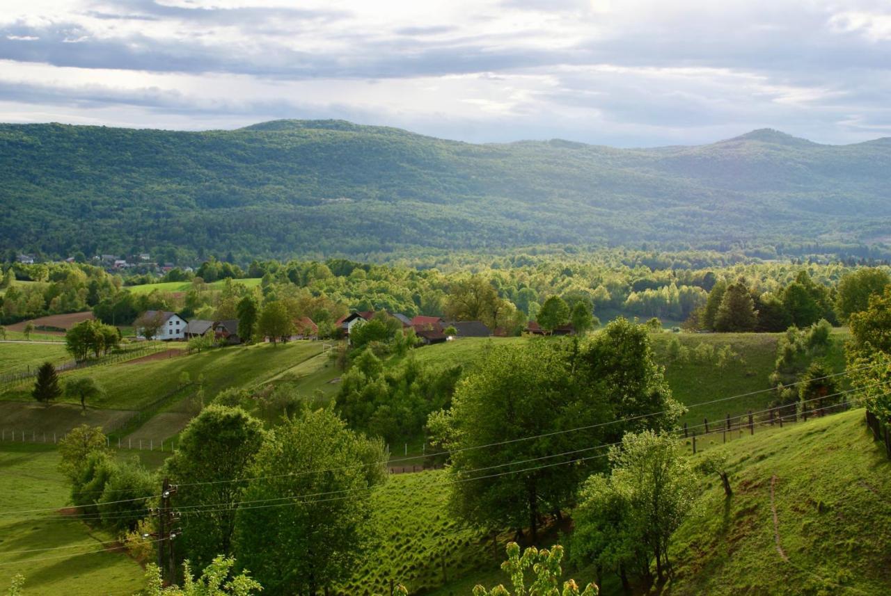 Frankovic Bed&Breakfast Vinica Екстериор снимка